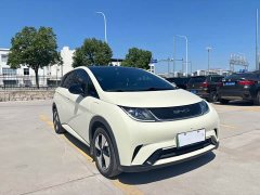 BYD Dolphin 420km Fashion Edition - ფოტო 3