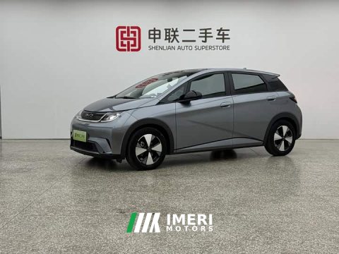 2024 BYD Dolphin 2023 420km Fashion Edition - ავტომობილი ჩინეთიდან