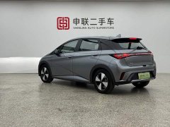 BYD Dolphin 2023 420km Fashion Edition - ფოტო 2