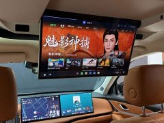 Great Wall WEY Blue Mountain 2023 Four-Wheel Drive Extended Range Version - ფოტო 4