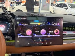 BYD Han DM-i 121KM Respect Edition - ფოტო 11