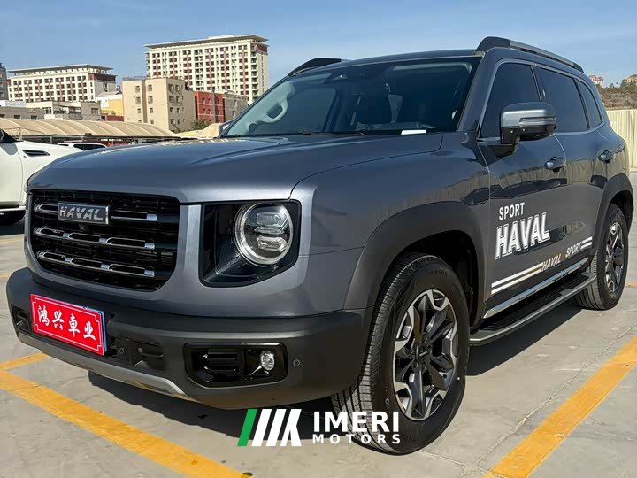 Great Wall Dachshund 2022 2.0T DCT Four-Wheel Drive Chinese Rural Dog Edition - ავტომობილი ჩინეთიდან