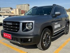 Great Wall Dachshund 2022 2.0T DCT Four-Wheel Drive Chinese Rural Dog Edition - ფოტო 1
