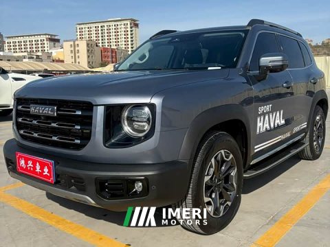 2023 Great Wall Dachshund 2022 2.0T DCT Four-Wheel Drive Chinese Rural Dog Edition - ავტომობილი ჩინეთიდან