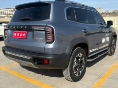 Great Wall Dachshund 2022 2.0T DCT Four-Wheel Drive Chinese Rural Dog Edition - ფოტო 9