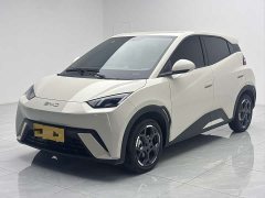 BYD Seagull 405km Flying Edition - ფოტო 1