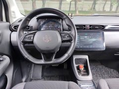 Leapmotor Leapo T03 400 Luxury Edition - ფოტო 9