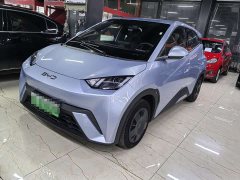 BYD Seagull 2024 Glory Edition 305km Vitality Version - ფოტო 1