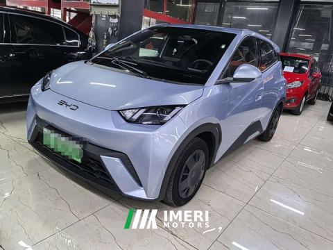 2025 BYD Seagull Glory Edition 305km Vitality Version