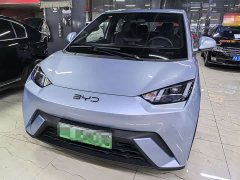 BYD Seagull 2024 Glory Edition 305km Vitality Version - ფოტო 2