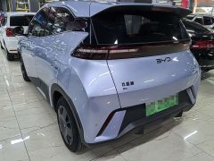 BYD Seagull 2024 Glory Edition 305km Vitality Version - ფოტო 3