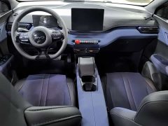 BYD Seagull 2024 Glory Edition 305km Vitality Version - ფოტო 7