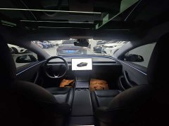 Tesla Model 3 Rear-Wheel Drive - ფოტო 11