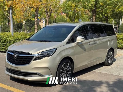 2021 Buick GL8 2020 ES Land Executive 653T Luxury - ავტომობილი ჩინეთიდან