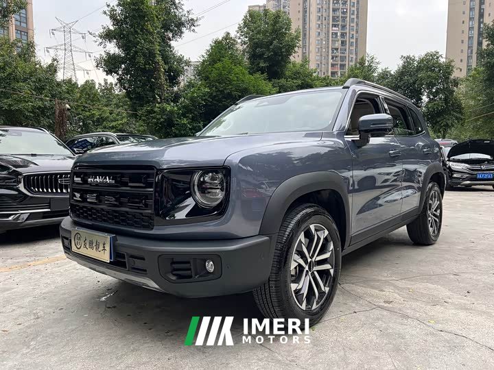 Great Wall Dachshund 2026 1.5T DCT Border Collie Edition - ავტომობილი ჩინეთიდან