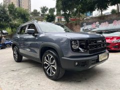 Great Wall Dachshund 2026 1.5T DCT Border Collie Edition - ფოტო 3