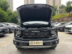 Great Wall Dachshund 2026 1.5T DCT Border Collie Edition - ფოტო 4