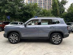 Great Wall Dachshund 2026 1.5T DCT Border Collie Edition - ფოტო 6