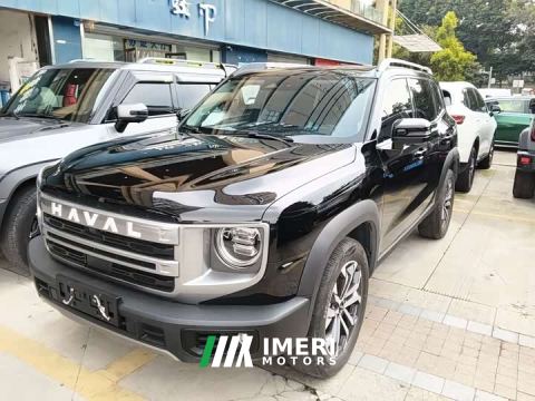 2025 Great Wall Dachshund 1.5T DCT Border Collie Edition - ავტომობილი ჩინეთიდან
