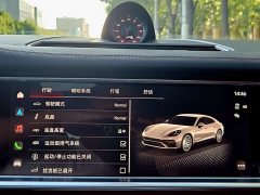 Porsche Panamera Facelift Panamera 2.9T Platinum Edition - ფოტო 18