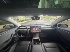Tesla Model 3 2023 Rear-Wheel Drive - ფოტო 5