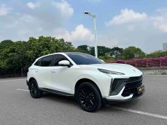 Dongfeng Fenghang T5 EVO 2024 Kuangbiao Edition 1.5TD DCT Platinum - ფოტო 2