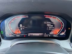 BMW 3 Series 320Li M Sport Package - ფოტო 10