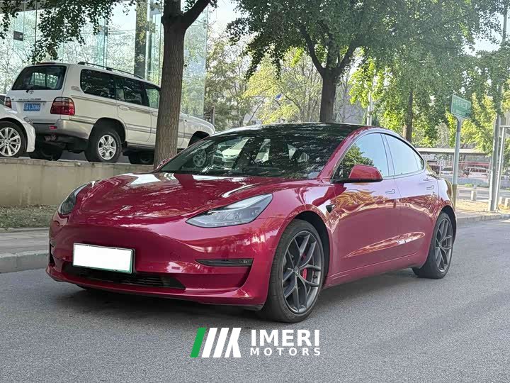 Tesla Model 3 Performance All-Wheel Drive 3D6