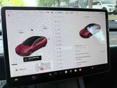 Tesla Model 3 Performance All-Wheel Drive 3D6 - ფოტო 10