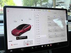 Tesla Model 3 Performance All-Wheel Drive 3D6 - ფოტო 9