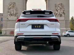 Haval H6 National Trend 1.5T Automatic Champion Edition - ფოტო 8