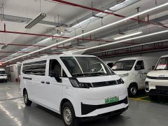 Remote Star Enjoy V V8E Edition- Edition 350km - фото 3