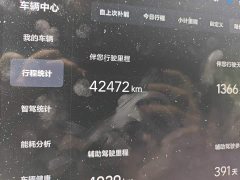 Li Auto L8 Pro - ფოტო 8