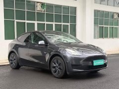 Tesla Model Y Rear-Wheel Drive - ფოტო 10