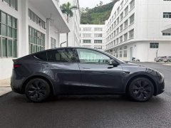 Tesla Model Y Rear-Wheel Drive - ფოტო 12