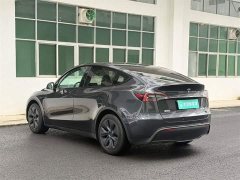 Tesla Model Y Rear-Wheel Drive - ფოტო 6