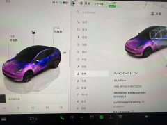 Tesla Model Y Rear-Wheel Drive - ფოტო 9