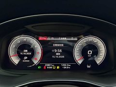Audi Q8 55 TFSI Luxury Dynamic - ფოტო 10