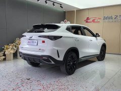Changan Oushan X5 PLUS 1.5T DCT Navigation Edition - ფოტო 10