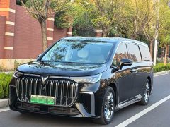Voyah Lantu Dreamchaser 2024 PHEV Ultra-Long Range Flagship - ფოტო 1