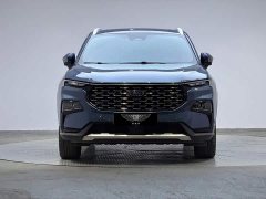 Ford Lingrui 2023 EcoBoost 170 Supreme Executive Edition - ფოტო 2