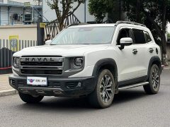 Great Wall Dachshund 2024 1.5T DCT Border Collie Edition - ფოტო 1