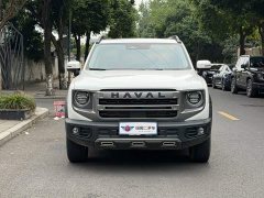 Great Wall Dachshund 2024 1.5T DCT Border Collie Edition - ფოტო 2