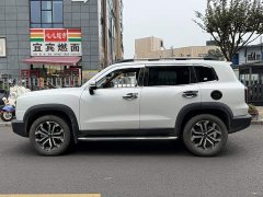 Great Wall Dachshund 2024 1.5T DCT Border Collie Edition - ფოტო 3