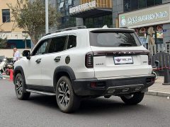 Great Wall Dachshund 2024 1.5T DCT Border Collie Edition - ფოტო 4