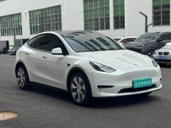 Tesla Model Y Rear-Wheel Drive - ფოტო 10