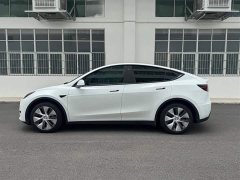 Tesla Model Y Rear-Wheel Drive - ფოტო 14