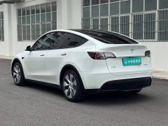 Tesla Model Y Rear-Wheel Drive - ფოტო 6