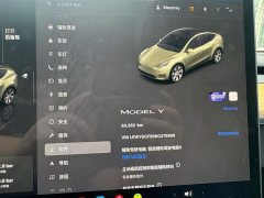 Tesla Model Y Rear-Wheel Drive - ფოტო 9