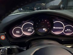 Porsche Panamera 2.9T - ფოტო 14
